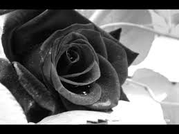 60 nella classifica dei dischi più belli di sempre secondo la rivista rolling stone italia. Ti Voglio Bene Tiziano Ferro Espanol Youtube