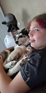 Greetings from Maxii and Mommy in Life With Husky Group