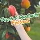 Peach & Sunflower Festival event image