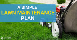 Do it yourself (diy) is the method of building, modifying, or repairing things without the direct aid of experts or professionals. A Simple Lawn Maintenance Schedule 10 Steps A Lush Lawn