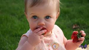 Das kann man als ‚elterngesteuerte beikosteinführung' bezeichnen. ein wichtiger eckpfeiler der methode: Baby Led Weaning Wenn Babys Selbst Bestimmen Was Sie Essen Oko Test