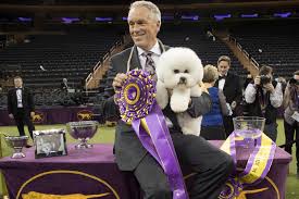 Our mission is to celebrate the companionship of dogs while promoting responsible dog ownership, health, and breed preservation. Pmxov Pp9flbdm