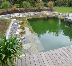 Check spelling or type a new query. Teicharten Naturpool Schwimmteich Teichitekten