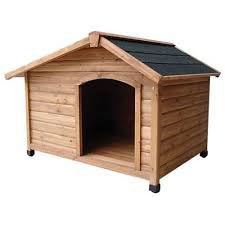 Please schedule an appointment if you want to come and visit our kennel. Dog Kennel In Bengaluru Karnataka Dog Kennel Price In Bengaluru