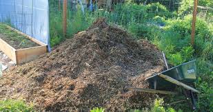 Best Garden Mulches Comparing Straw Vs Hay Vs Wood Chips Family Food Garden Garden Mulch Garden Soil Organic Gardening