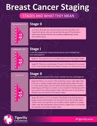 Image result for Breast Cancer Staging