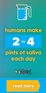 The Human Body Makes Between 2 And 4 Pints Of Saliva Each Day Saliva Is Necessary For Maintaining Moisture In Your Infa Mouth Healthy Baby Facts Drooling Baby