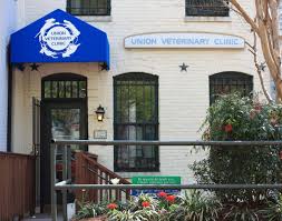 Get directions opens a new window. Union Veterinary Clinic Capitol Hill Bid Washington Dc