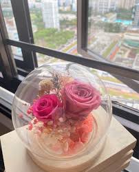 Beauty beast enchanted bella rose preserved flower in glass dome. Preserved Flower Round Glass Dome Gardening Flowers Bouquets On Carousell