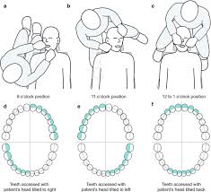 Patient Examination And Assessment Springerlink