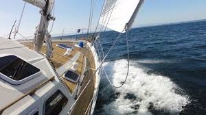 I Pinimg Com 564x C7 58 36 C75836a6d0f0acb44acf