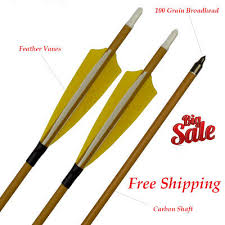 Other Carbon Arrows