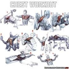 bodybuilding chest exercises chart at home images