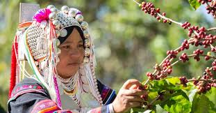 For mark dis day, international ngo, greenpeace meet wit. International Day Of The World S Indigenous Peoples