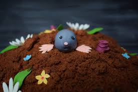 Последние твиты от fridolin herkommer (@fridolinhk). Maulwurfkuchen