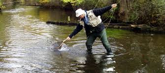 We did not find results for: Caleb Smith State Park Preserve Hosts Photo Contest Tbr News Media