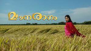 Asianet — poor quality of serials. Watch Asianet Serials Shows Online On Disney Hotstar