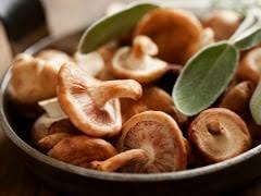 Mushroom Chettinad Recipe Ndtv Food Buy best magic mushrooms online grown by canadian producers. mushroom chettinad recipe ndtv food