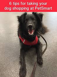 Petsmart stores provide a varied selection of employment opportunities. 6 Tips For Taking Your Dog Shopping At Petsmart Proplantasteofvictory