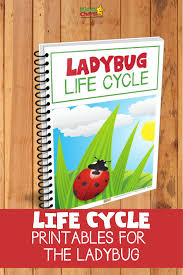 Insert two maraschino cherries in each cupcake, letting the tails stick out (they will represent the antennae). Ladybug Life Cycle Free Printables For Writing Math And Fun