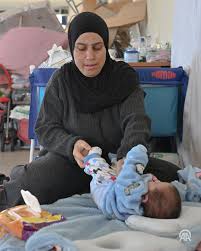 📌 Many people are forced to leave their homes due to Israeli military  attacks on various Lebanese cities ➡️ Ghada Mohammed Fadel, who was  displaced from the town of Adshit al-Qusayr, seeks