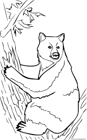 Home / animals / black bear. Black Bear Climbing The Tree Coloring Pages Printable