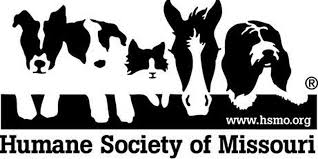 Jun 19, 2017 · keep your pets safe. Excessive Heat Warning Keep Your Pets Safe Ozark Radio News
