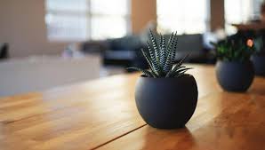 Image result for wood skirting blog