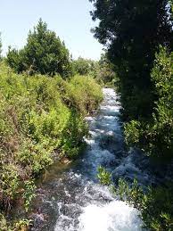 以色列之旅2017年6月旅程第四天 上 夏瑣tel hazor national park 但河tel dan nature reserve travel outdoor water
