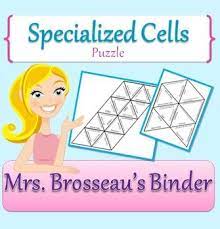 Recent coverage in major new outlets has called attention. Pin On School Science