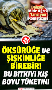 Defne Yapraginin Hic Duymadiginiz Faydalari 2020 Saglik Sifali Otlar Saglik Ipuclari