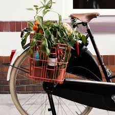 Epingle Sur Bicyclettes