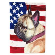 Please provide a valid price range. Caroline S Treasures 2 33 Ft X 3 33 Ft Polyester French Bulldog Frenchie Usa Patriotic American 2 Sided Flag Canvas House Size Heavyweight Lh9545chf The Home Depot