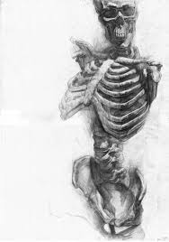Study Paul Schwarz Artlog Skeleton Drawings Anatomy Art Art