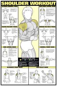 Details About Shoulder Workout Wall Chart Professional Strength Training Fitness Gym Poster