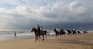 John erkelens (60) is nederland spuugzat: Katwijk Kleine Auszeit Am Meer Landlinien Outdoor Reiseblog