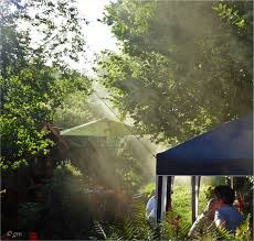 Phasmo + böse nachbarn hd 10.04.2021. Nachbarn Argern Foto Bild Menschen Rauch Grillen Bilder Auf Fotocommunity