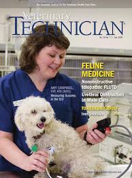 Littleton, nh homes for sale & real estate. Veterinary Technician July 2008 By Davidpsu Issuu