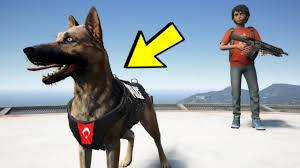 Turk K9 Kopegini Kacirdim Cok Hizli Kosuyor Gta 5 Gercek Hayat Youtube