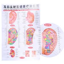 4pcs Set Human Body Meridian Chart Foot Reflex Zone Health