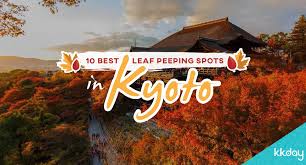 Check our fall foliage forecast and make the most out of autumn in japan! Travel Japan Autumn Colors In Kyoto 10 Best Leaf Peeping Spots By Kkday International Medium