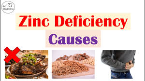 Image result for Zinc Deficiency