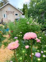 Check spelling or type a new query. 21 Cut Flowers To Grow In Part Shade Shifting Roots