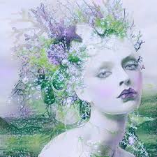 Office decor with Star Trek theme