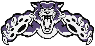 Wildcat Mascot Logo 355199 Png 4777 2337 Wildcats Logo Wild Cats Unicorn Wallpaper Cute