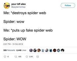 Spiderweb Wow Halloween Know Your Meme
