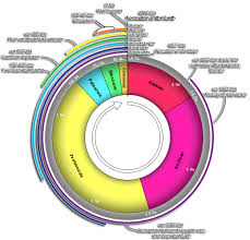 geologic time scale earth systems and resources