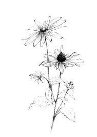 Black And White Sketch Art Prints Custom Set Of Any 8 Flowers Sketch Coloring Page Botanical Etsy In 2020 Flower Sketches Botanical Art Prints Black Eyed Susan