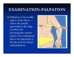 Image result for Elbow Exam
