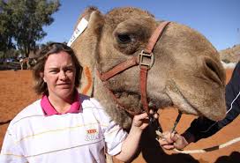 Discover our special offer camel rides! Alice Springs Camel Cup Backpackers Daredevils And Die Hards At The Melbourne Cup For Camels Abc News Australian Broadcasting Corporation